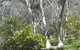 Highfield Farm And Woodland Bush Campsites - thumb 4