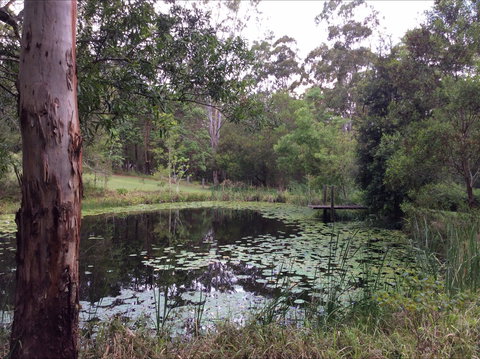 Maleny Country Cottages - Surfers Paradise Gold Coast 3