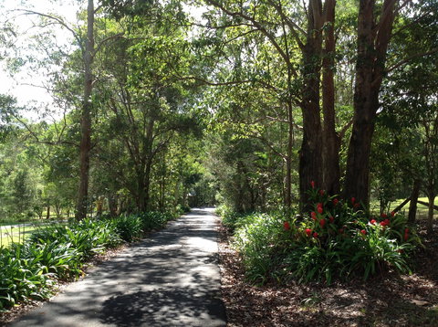 Maleny Country Cottages - Surfers Paradise Gold Coast 8