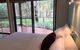 Riverspa Apartments - thumb 1