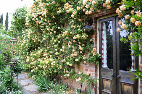 The Heritage Garden - Surfers Paradise Gold Coast 3