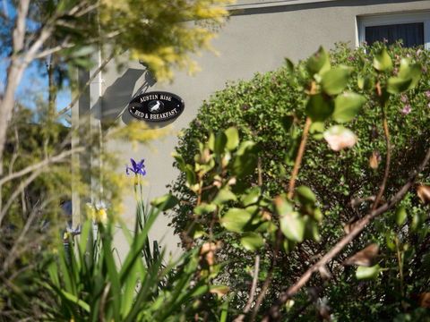 Austin Rise B&B - Surfers Paradise Gold Coast 1