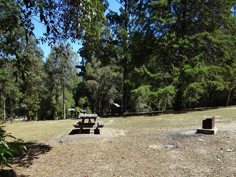Cutters Camp Campground - Surfers Paradise Gold Coast 1