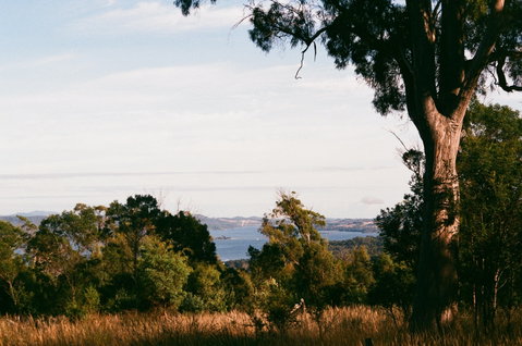 Hilltop Barn At Swan Bay - Surfers Paradise Gold Coast 0