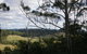Hilltop Barn At Swan Bay - thumb 1