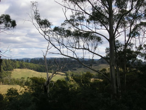 Hilltop Barn At Swan Bay - Surfers Paradise Gold Coast 1