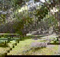 Illaroo group camping area - Surfers Paradise Gold Coast