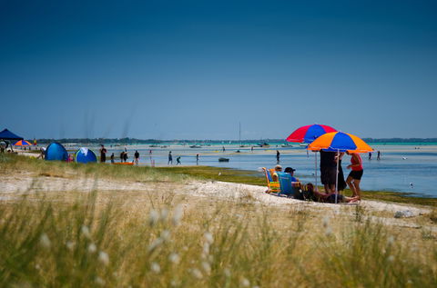 Rosebud Foreshore Camping - Surfers Paradise Gold Coast 0
