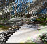 Camawald Coonawarra Cottage BB - Surfers Paradise Gold Coast