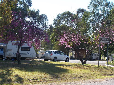 Eidsvold Caravan Park - Surfers Paradise Gold Coast 0