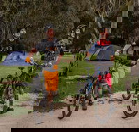 Ngarigo campground - Surfers Paradise Gold Coast