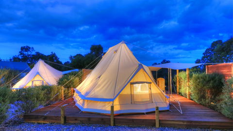 Scamander Sanctuary Holiday Park - Surfers Paradise Gold Coast 1