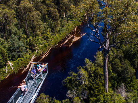 Tahune Adventures Tasmania - Lodge And Cabin - Surfers Paradise Gold Coast 1