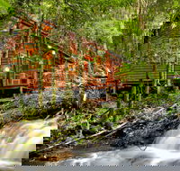 The Mouses House - Rainforest Retreat - Surfers Paradise Gold Coast
