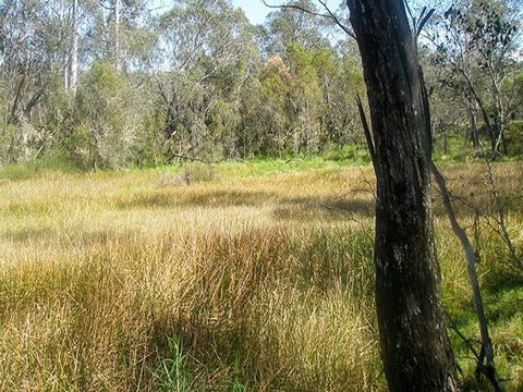 Tin Mines Campground - Surfers Paradise Gold Coast 1