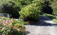 Brown's House Bed & Breakfast - thumb 2