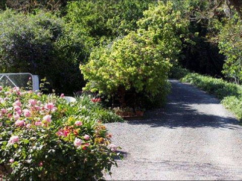 Brown's House Bed & Breakfast - Surfers Paradise Gold Coast 2