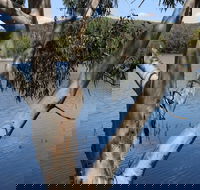 Bumberry Dam - Surfers Paradise Gold Coast