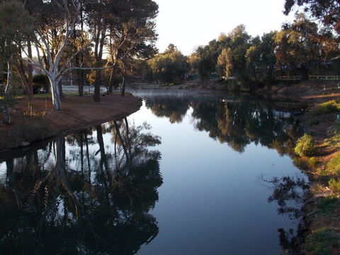 Burra Caravan And Camping Park - Surfers Paradise Gold Coast 2