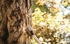 Glenreagh Camping Reserve - thumb 1