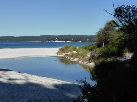 Hyams Beach Hideaway - Surfers Paradise Gold Coast 0