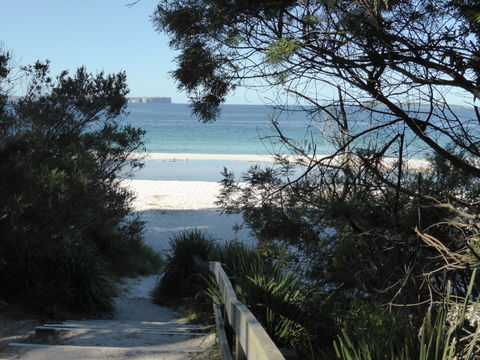 Hyams Beach Hideaway - Surfers Paradise Gold Coast 2