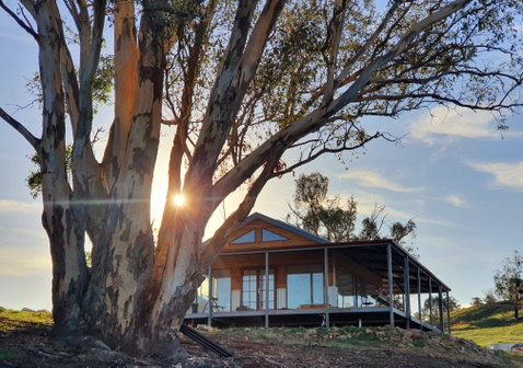 Kestrel Nest EcoHut - Surfers Paradise Gold Coast 0