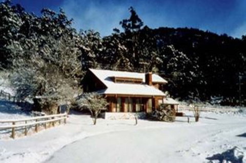 Pender Lea Alpine Guest Accommodation - Surfers Paradise Gold Coast 1