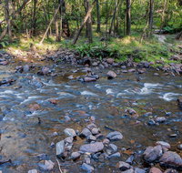 Toorooroo campground - Surfers Paradise Gold Coast