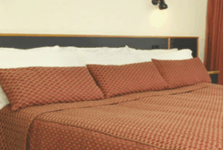 Margarets Forest Holiday Apartments - Surfers Paradise Gold Coast