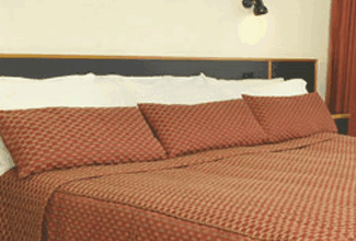 Margarets Forest Holiday Apartments - Surfers Paradise Gold Coast 0