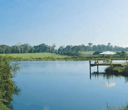 Forest Rise Eco Retreat - Surfers Paradise Gold Coast
