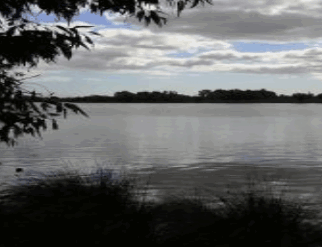 Glenvale Lodge - Surfers Paradise Gold Coast 3