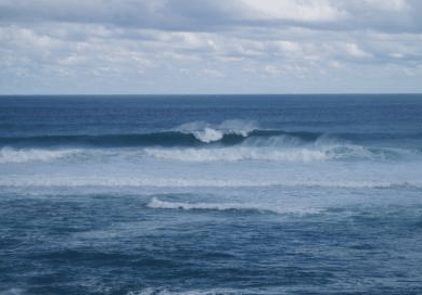 Surfpoint Resort - thumb 3