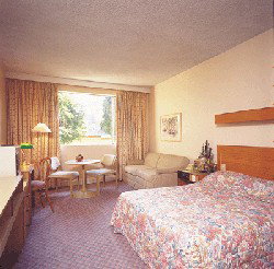 Country Comfort Armidale - Surfers Paradise Gold Coast 3
