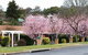 White Lanterns Motel - thumb 1