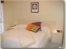 Creature Comforts - Surfers Paradise Gold Coast 1