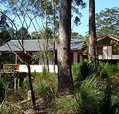 Grass Trees Escape - Surfers Paradise Gold Coast