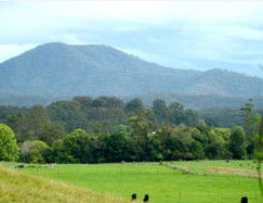 Bellingen Farmstay - Surfers Paradise Gold Coast 4