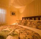 Aunty Lils Heritage Cottages - Surfers Paradise Gold Coast