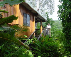 Milkwood Lodge - Surfers Paradise Gold Coast 2