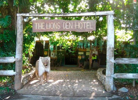 Lions Den Hotel - Surfers Paradise Gold Coast 5