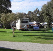 Pinjarra Caravan Park - Surfers Paradise Gold Coast