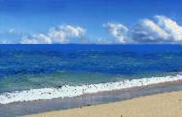 Cervantes Pinnacles Beachfront Caravan Park - Surfers Paradise Gold Coast 2