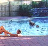 Shark Bay Caravan Park - Surfers Paradise Gold Coast