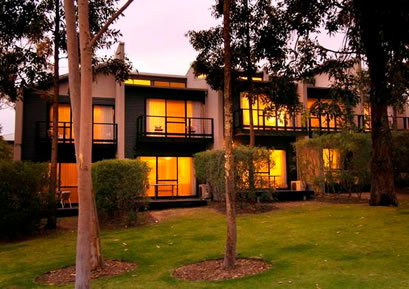 Margarets Forest Holiday Apartments - Surfers Paradise Gold Coast 3
