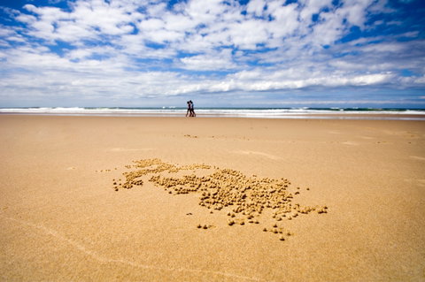 BIG4 Nambucca Beach Holiday Park - Surfers Paradise Gold Coast 1