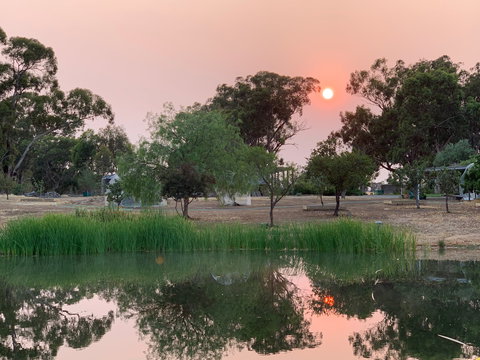 Boundary Farm - Surfers Paradise Gold Coast 2