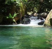 Daintree Secrets Rainforest Sanctuary - Surfers Paradise Gold Coast
