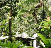 Daintree Ecolodge - Surfers Paradise Gold Coast